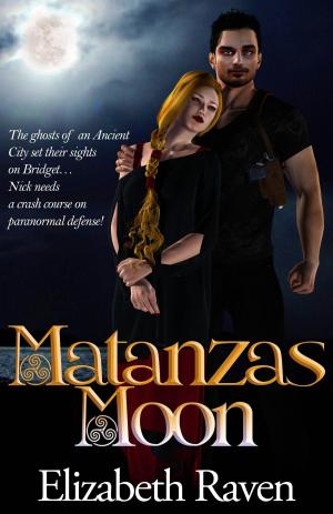 Cover of the book Matanzas Moon by Jules VERNE