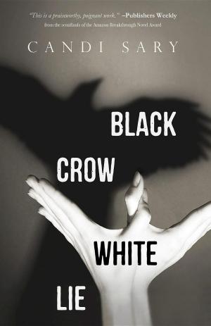 Cover of the book Black Crow White Lie by Barbara Frances