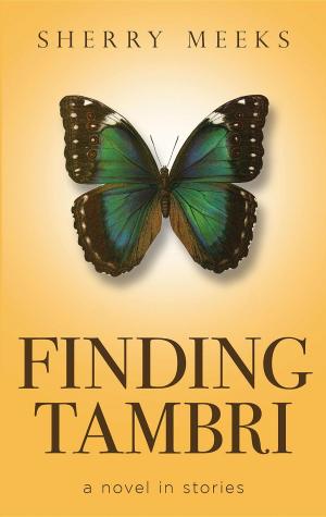 Cover of the book Finding Tambri by Paul Allen