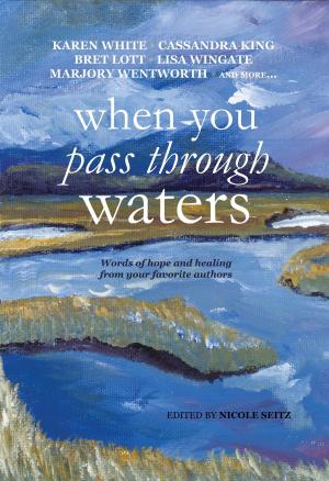 Cover of the book When You Pass Through Waters by Fred Sterk, Sjoerd Swaen