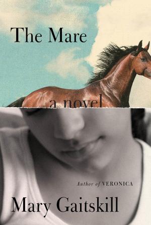 Cover of the book The Mare by Ian McEwan
