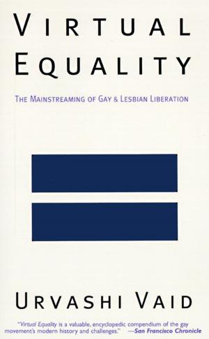 Cover of the book Virtual Equality by Mary Gaitskill