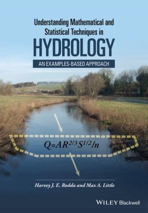 Book cover of Understanding Mathematical and Statistical Techniques in Hydrology