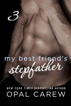 Cover of the book My Best Friend's Stepfather #3 by Stephen J. Cannell