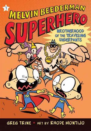 Book cover of The Brotherhood of the Traveling Underpants