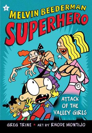 Cover of the book Attack of the Valley Girls by Andy Griffiths