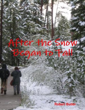 Cover of the book After the Snow Began to Fall by Kayla Thibodeau