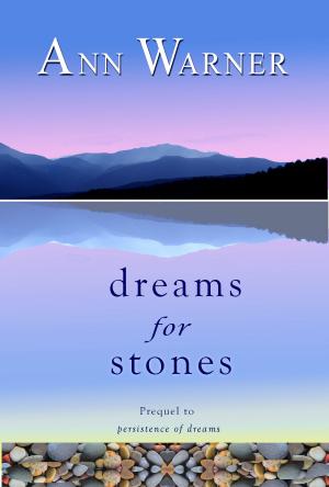 Book cover of Dreams for Stones