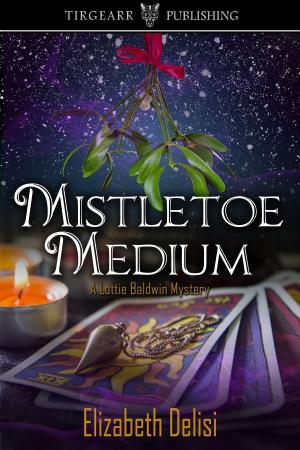 Cover of the book Mistletoe Medium by Noreen Wainwright