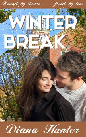 Book cover of Winter Break