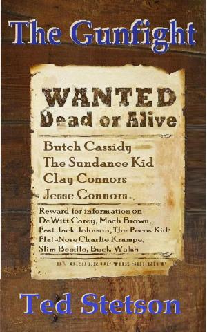 Cover of the book The Gunfight by Ted Stetson