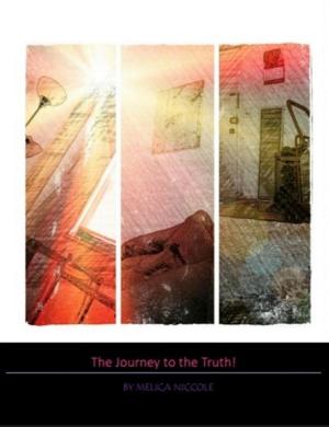 Cover of Journey to the Truth