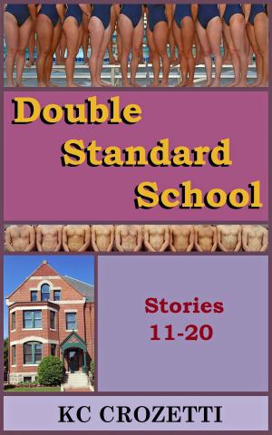 Cover of the book Double Standard School: Stories 11-20 by KC Crozetti