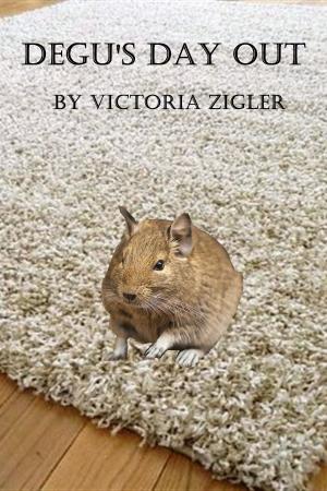 Book cover of Degu's Day Out