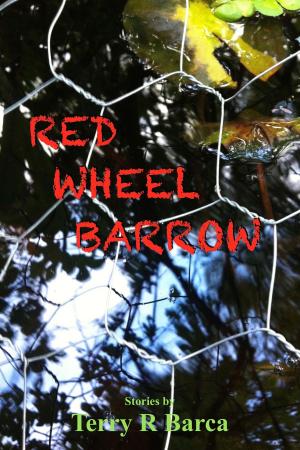 Book cover of Red Wheelbarrow