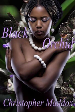 Cover of Black Orchid