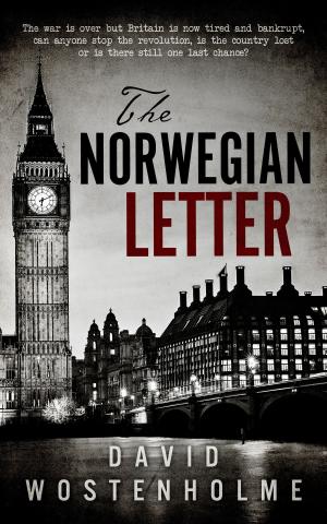 Cover of the book The Norwegian Letter by Sandi Rog