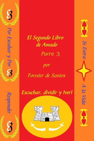 bigCover of the book El Segundo libro de Amado Parte 3 by 