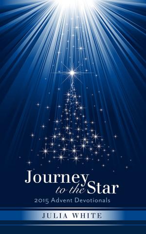 Book cover of Journey to the Star