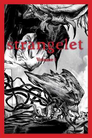 Book cover of Strangelet Volume 1
