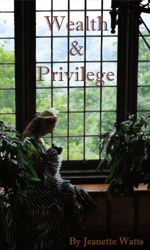 Cover of the book Wealth and Privilege by Leslie Hachtel