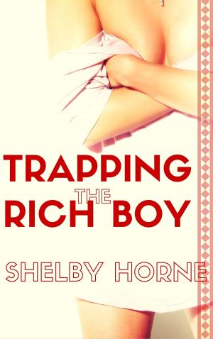 Cover of the book Trapping the Rich Boy by The SMUT Project