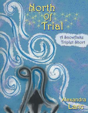 Cover of North of Trial (Tales of North #2 ~ A Snowflake Triplet Short)
