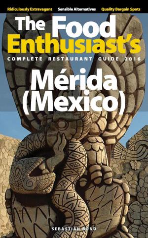 Cover of the book Merida (Mexico) - 2016 by Christina Baglivi Tinglof