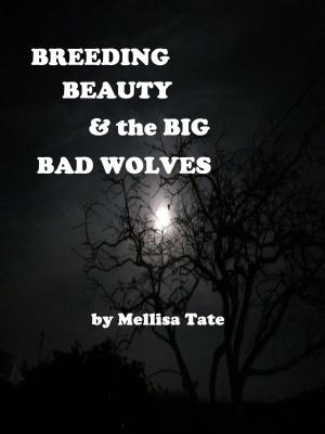 Book cover of Breeding Beauty & the Big Bad Wolves