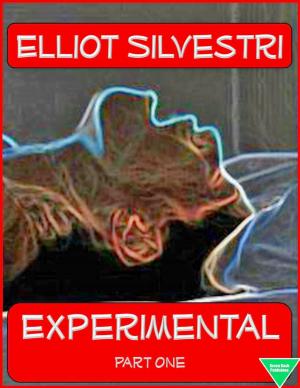 Cover of Experimental Part One