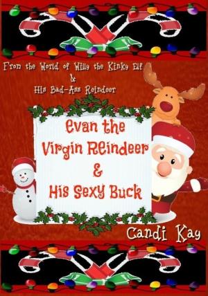 Book cover of Evan the Virgin Reindeer & His Sexy Buck (Willy the Kinky Elf & His Bad-Ass Reindeer, #2)