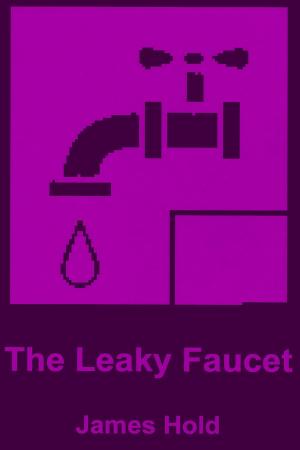 Book cover of The Leaky Faucet