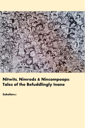 Cover of the book Nitwits, Nimrods and Nincompoops: Tales of the Befuddlingly Inane by Victor Gandarillas