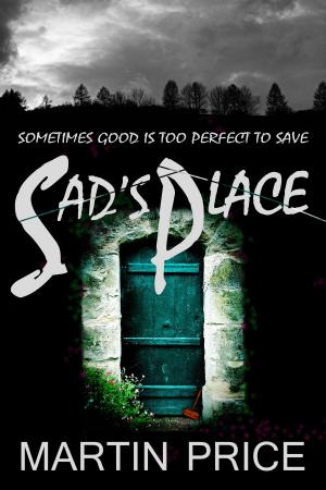 Book cover of Sad's Place