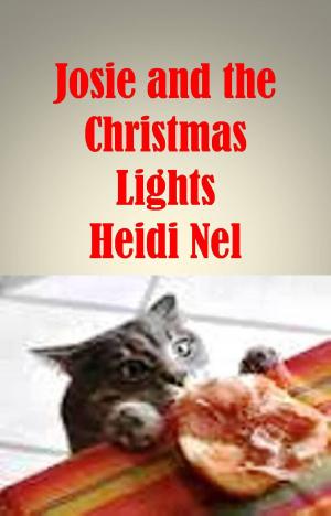 Cover of the book Josie and the Christmas Lights by Heidi Nel