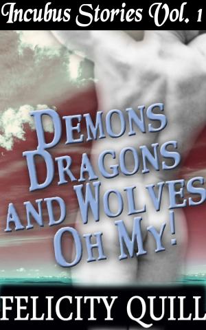Cover of the book Incubus Stories Vol. 1: Demons, Dragons and Wolves, Oh My! by Estaban Steel