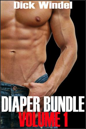 Cover of Diaper Bundle - Volume 1 (Gay Diaper Fetish, ABDL, Age Play, Adult Baby, Regression)
