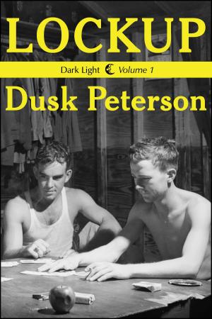 Cover of the book Lockup (Dark Light, Volume 1) by Dusk Peterson