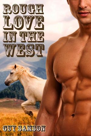 bigCover of the book Rough Love In the West (Gay Western Erotica) by 
