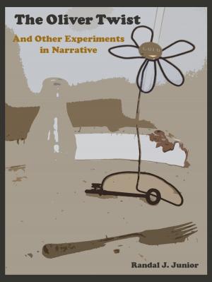 Book cover of The Oliver Twist & Other Experiments in Narrative