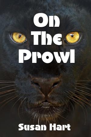 bigCover of the book On The Prowl by 