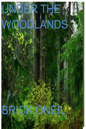 Book cover of Under The Woodlands