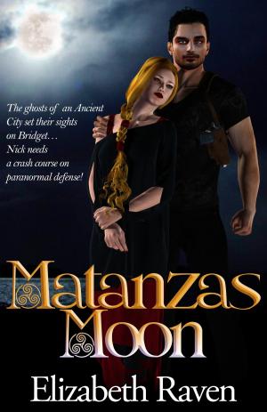 Cover of the book Matanzas Moon by Steffanie Holmes