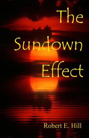 Book cover of The Sundown Effect
