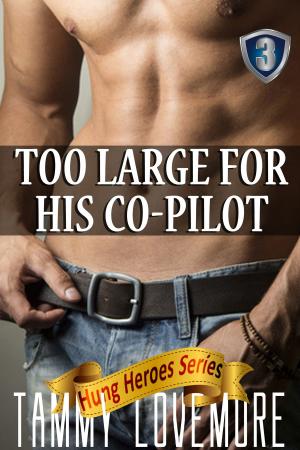 Cover of Too Large for his Co-Pilot (Huge Size Erotica)