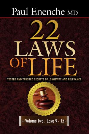 Cover of the book 22 Laws Of Life (Volume 2) by David Washington