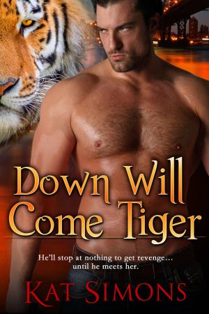 Cover of the book Down Will Come Tiger by Debra Sylver