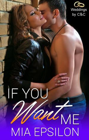 Cover of the book If You Want Me by Christine E. Schulze