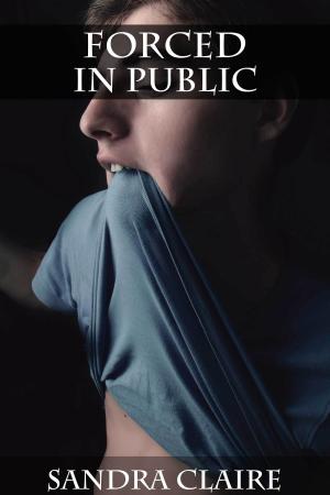 Cover of the book Forced in Public by Cameron D. James