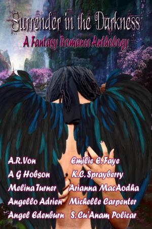 Cover of Surrender in the Darkness: A Fantasy Romance Anthology